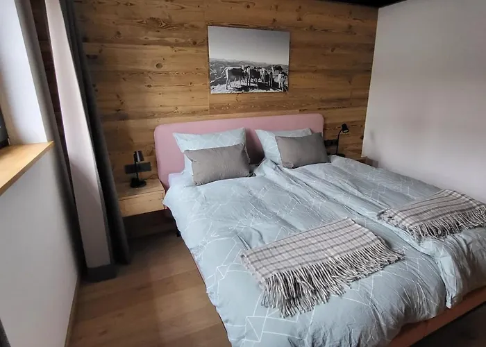 Alpinchalet Bergahorn - Luxerioese Mit Sauna Und Grosser Terrasse 公寓 *