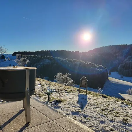 Alpinchalet Bergahorn - Luxerioese Mit Sauna Und Grosser Terrasse شقة Weitnau
